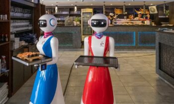 Will the introduction of robots in the future increase the rate of unemployment?